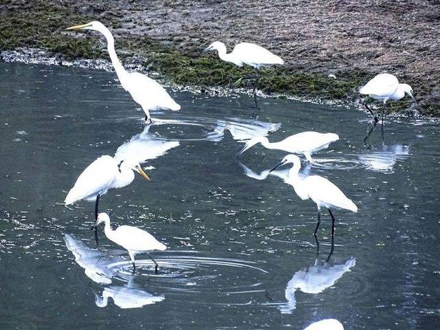 影像｜莱钢老年《摄影视界》作品欣赏：展现五光十色的世界