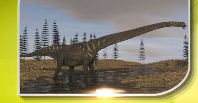 四川山村惊现神秘“龙骨石”，质地形状如同龙骨，专家认为不简单