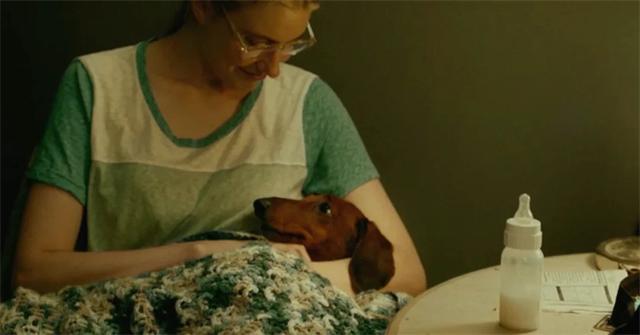 狗狗队集合！电影频道将排播7部温馨狗狗电影！