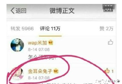 从“金耳朵兔孑”说起，谈网络帐号安全