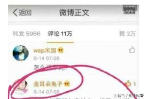 金耳朵兔子(从“金耳朵兔孑”说起，谈网络帐号安全)