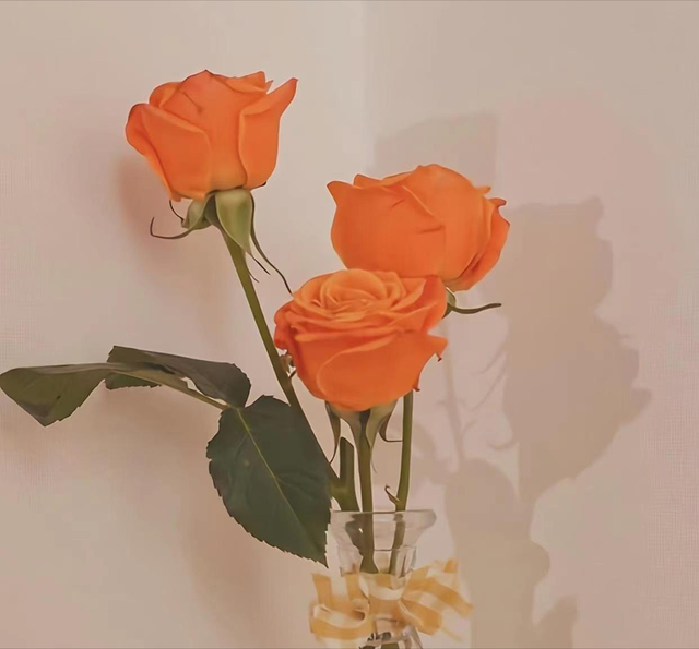 不管是夫妻还是情人，总觉得爱不够的，永远都是这种男女