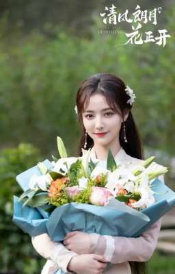 清风朗月花正开(好剧推荐之《清风朗月花正开》)