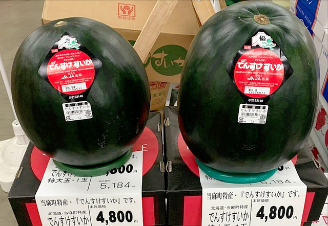 世界上最贵的水果有多贵？盘点14种贵得离谱的水果