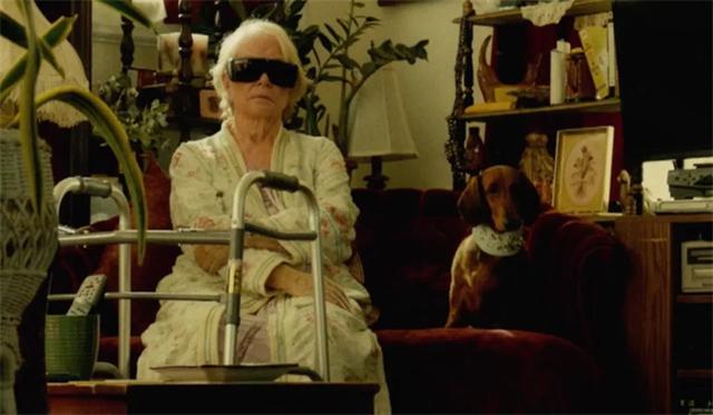 狗狗队集合！电影频道将排播7部温馨狗狗电影！