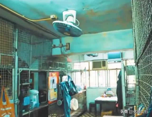 十位数天价别墅楼盘与“鸽笼”贫民窟，带你看真实的香港贫富差距