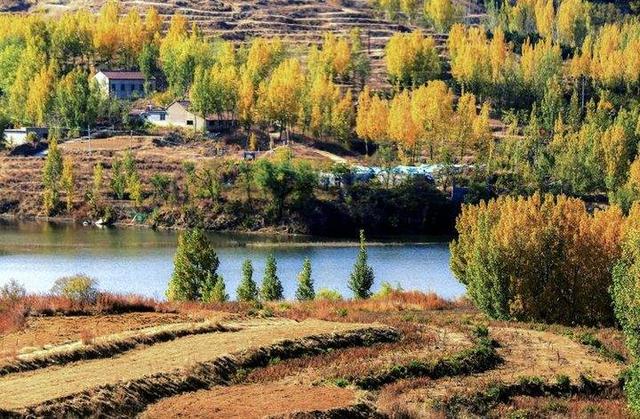 影像｜莱钢老年《摄影视界》作品欣赏：展现五光十色的世界