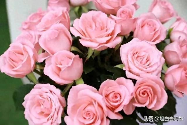 男人，第一眼就喜欢上你，大都是因为，你让他有了这些异样的感觉