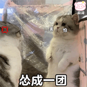 沙雕猫猫表情包：气到炸毛