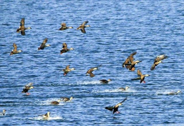 影像｜莱钢老年《摄影视界》作品欣赏：展现五光十色的世界