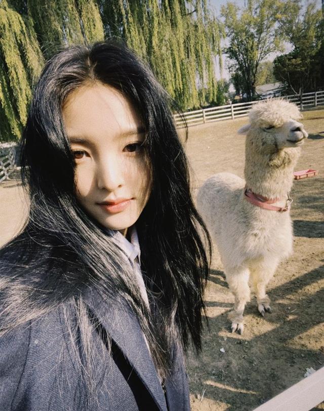 25岁章若楠恨嫁心切！家人曾介绍大10岁相亲对象，不排斥相亲结婚