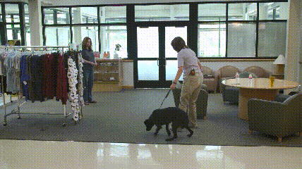 一个特殊职业，你肯定不了解