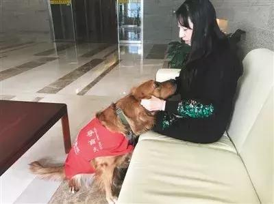 一个特殊职业，你肯定不了解