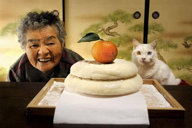 这只日本最有爱的“婆婆猫”，去了天国