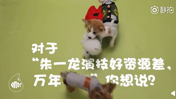 他，是演员朱一龙