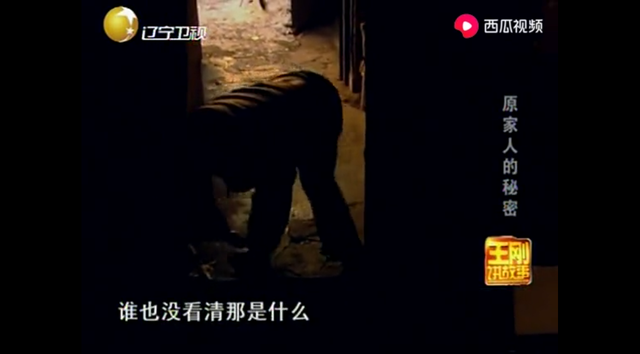 吉林出现神秘家族，全家20年不出门，邻居偷看一眼吓出冷汗