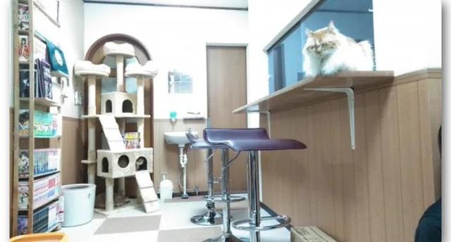 日本男子四年存2000万日元！下班就去打工，一天只吃一顿饭