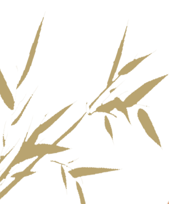 书香为伴 夜读建阳丨中国传统古村落：小源