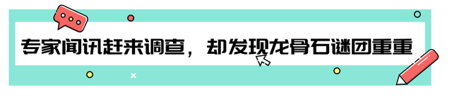 四川山村惊现神秘“龙骨石”，质地形状如同龙骨，专家认为不简单