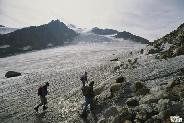 科学家重现冰人奥茨生活的最后旅程