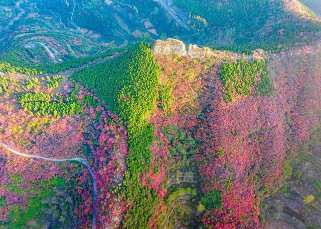 山东好景｜济南劈山“红叶秘境”秋色醉人