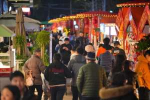 汤莉(成都青羊：深挖潜力 消费市场“一路繁花”)