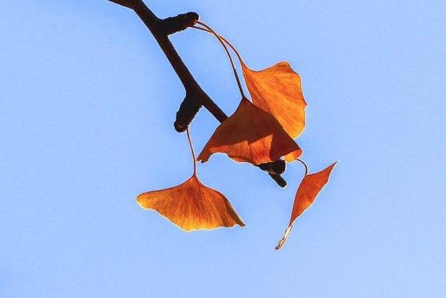 影像｜莱钢老年《摄影视界》作品欣赏：展现五光十色的世界