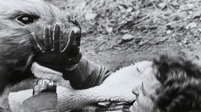 人类禁区切尔诺贝利，38年无人敢进入，里面成动物变异天堂了吗？