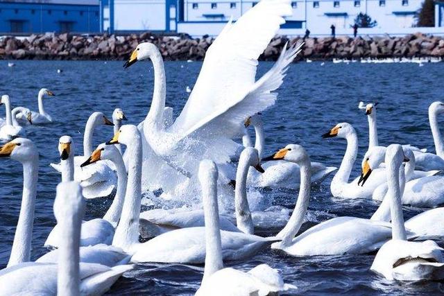 影像｜莱钢老年《摄影视界》作品欣赏：展现五光十色的世界