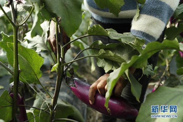 阿迪力·斯迪克播种幸福生活