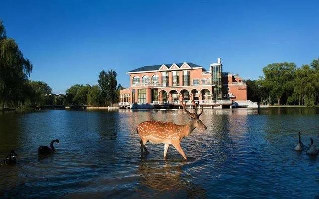 “铁三角”有多壕？王刚妻子每月花一百万，张铁林坐拥三套豪宅