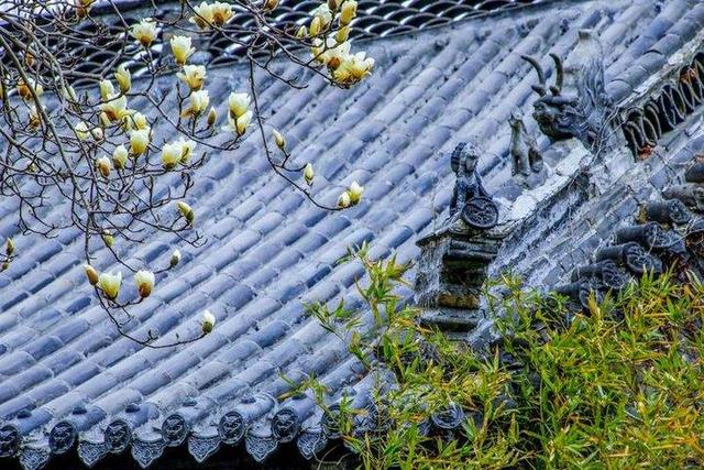 影像｜莱钢老年《摄影视界》作品欣赏：展现五光十色的世界