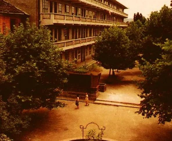 匆匆那些年：暗恋学姐多年，95年毕业后我为娶她向单位请假