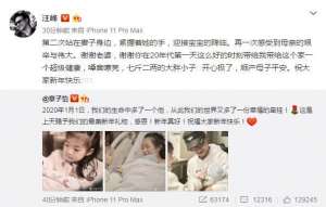 汪峰的微博(汪峰转发章子怡生子微博：七斤二两，大胖小子，开心极了)