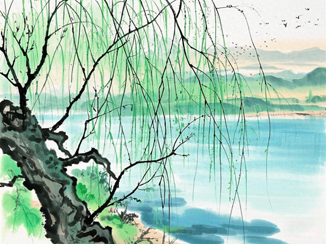 儿子不喜欢相亲文邹邹的姑娘，姑娘说：“挺实在的，我喜欢。”