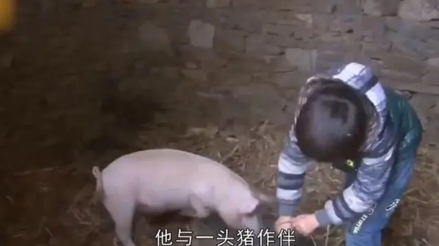 《变形计》嘉宾集体控诉，多年后真相终于被揭开，节目组瞒不住了