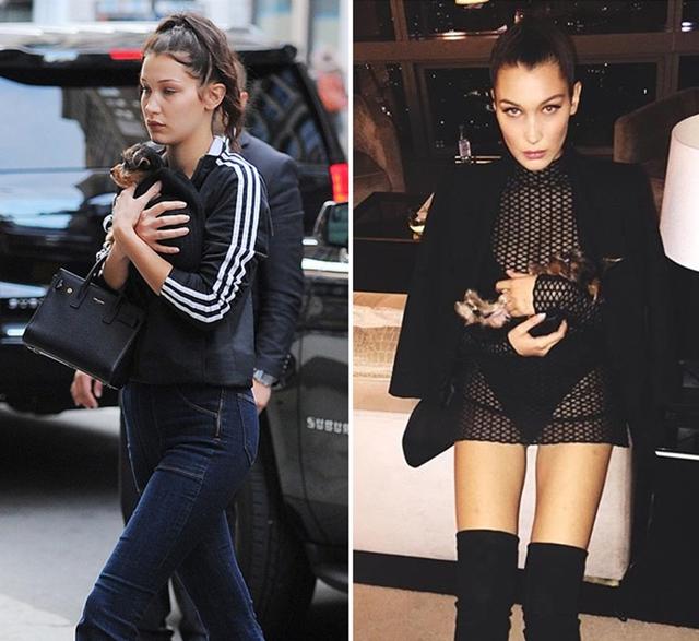 贝拉“0存在”低调庆生,反倒是闷骚的盆栽哥大把撒起了狗粮