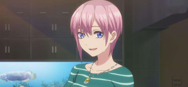 花泽香菜官宣结婚，男方是奈良鹿台和乔鲁诺乔巴纳的声优