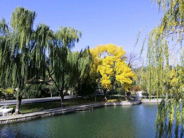 影像｜莱钢老年《摄影视界》作品欣赏：展现五光十色的世界