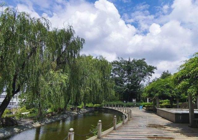 影像｜莱钢老年《摄影视界》作品欣赏：展现五光十色的世界