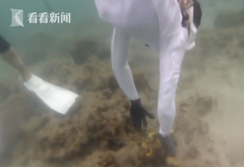 李烈音或被判5年什么情况？李烈音个人资料为什么或被判5年事件始末