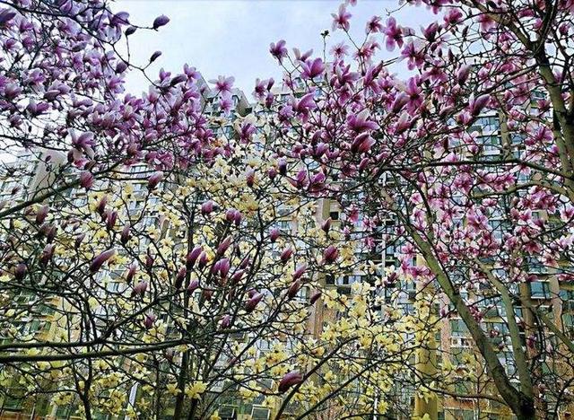 影像｜莱钢老年《摄影视界》作品欣赏：展现五光十色的世界