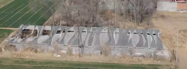 邯郸未成年人遇害事件，悲报时间线