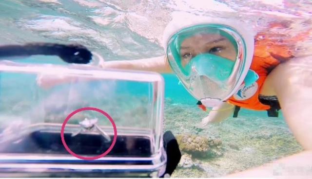 恭喜！魏晨520官宣领证结婚 老婆是川音大学同学