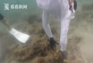 李烈音(李烈音或被判5年什么情况？李烈音个人资料为什么或被判5年事件始末)