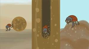 屎壳郎的照片(生命力顽强的屎壳郎出现危机：环境越来越差，就连排泄物都不安全)