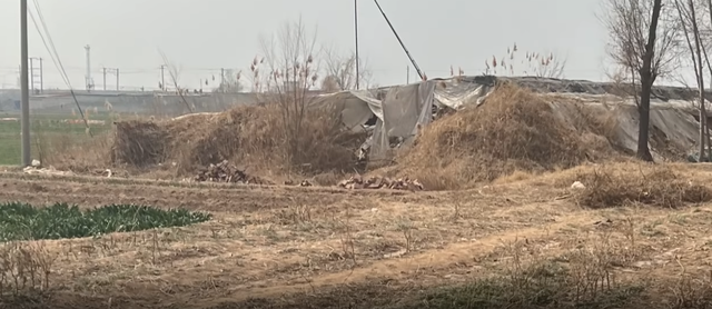 邯郸未成年人遇害事件，悲报时间线