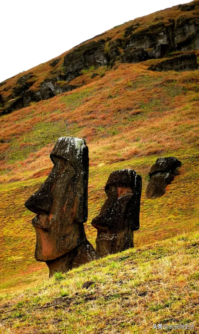 一路向南之寻迷智利（二）