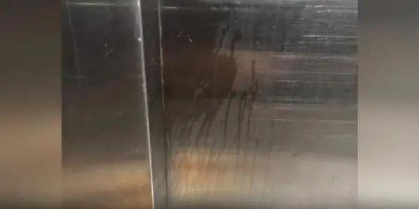 电梯里做不雅动作！上海这个小区业主直呼：太恶心