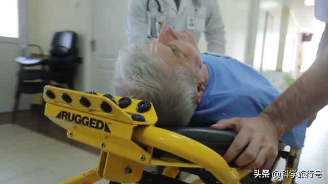 蚊子吸血过程到底有多恐怖，超出你的想象